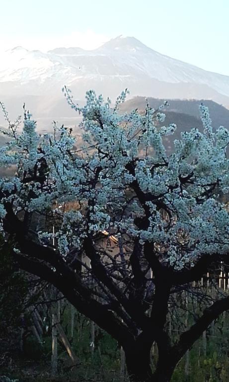 Case Vacanze Dietroserra วิอากรานเด ภายนอก รูปภาพ